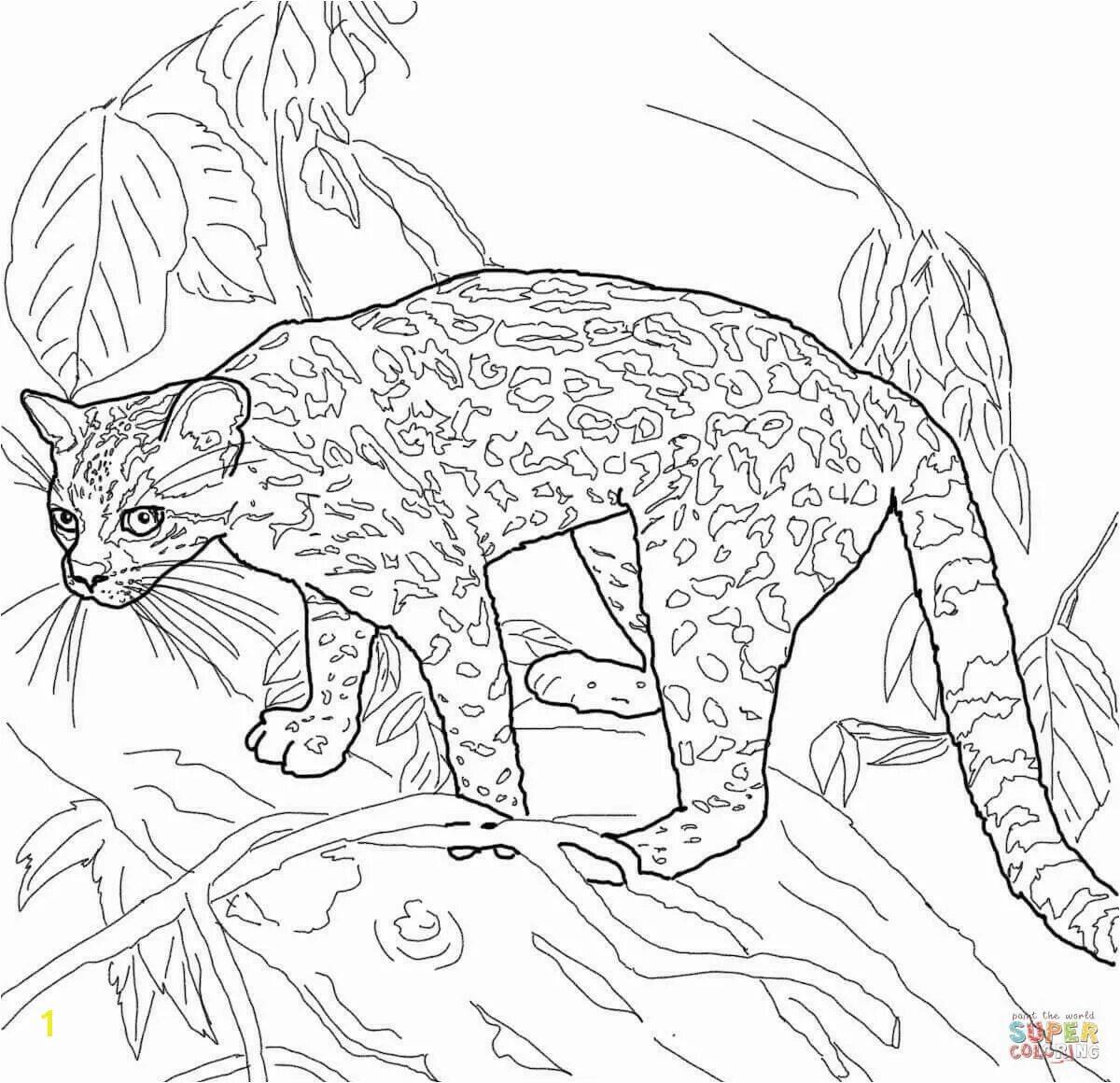 Раскраска веселый леопардовый кот