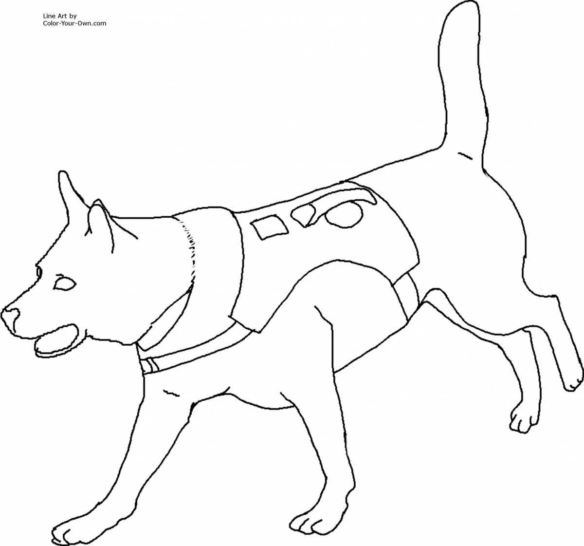 Coloring book glowing fiery dog