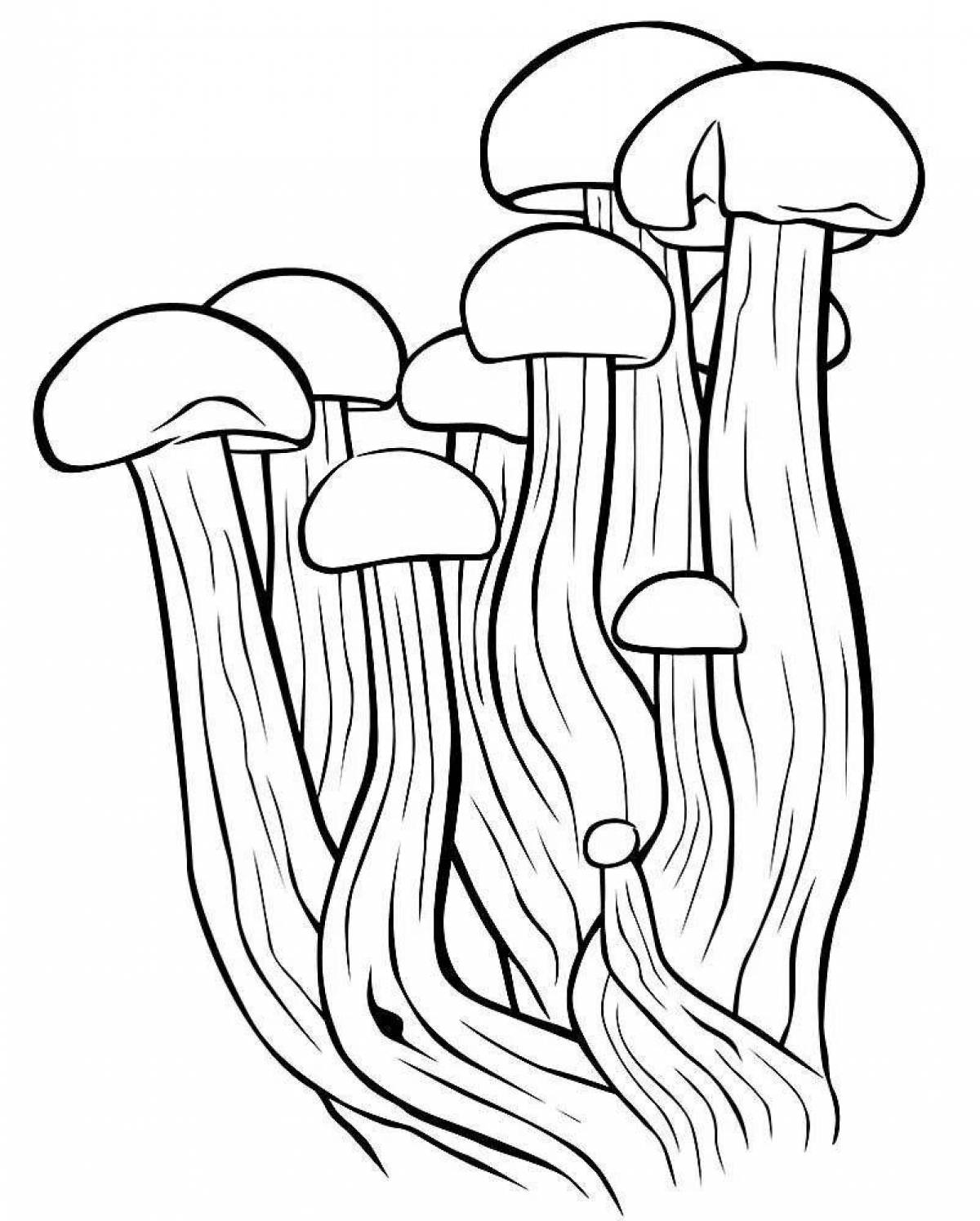 Sparkling mushrooms false coloring page