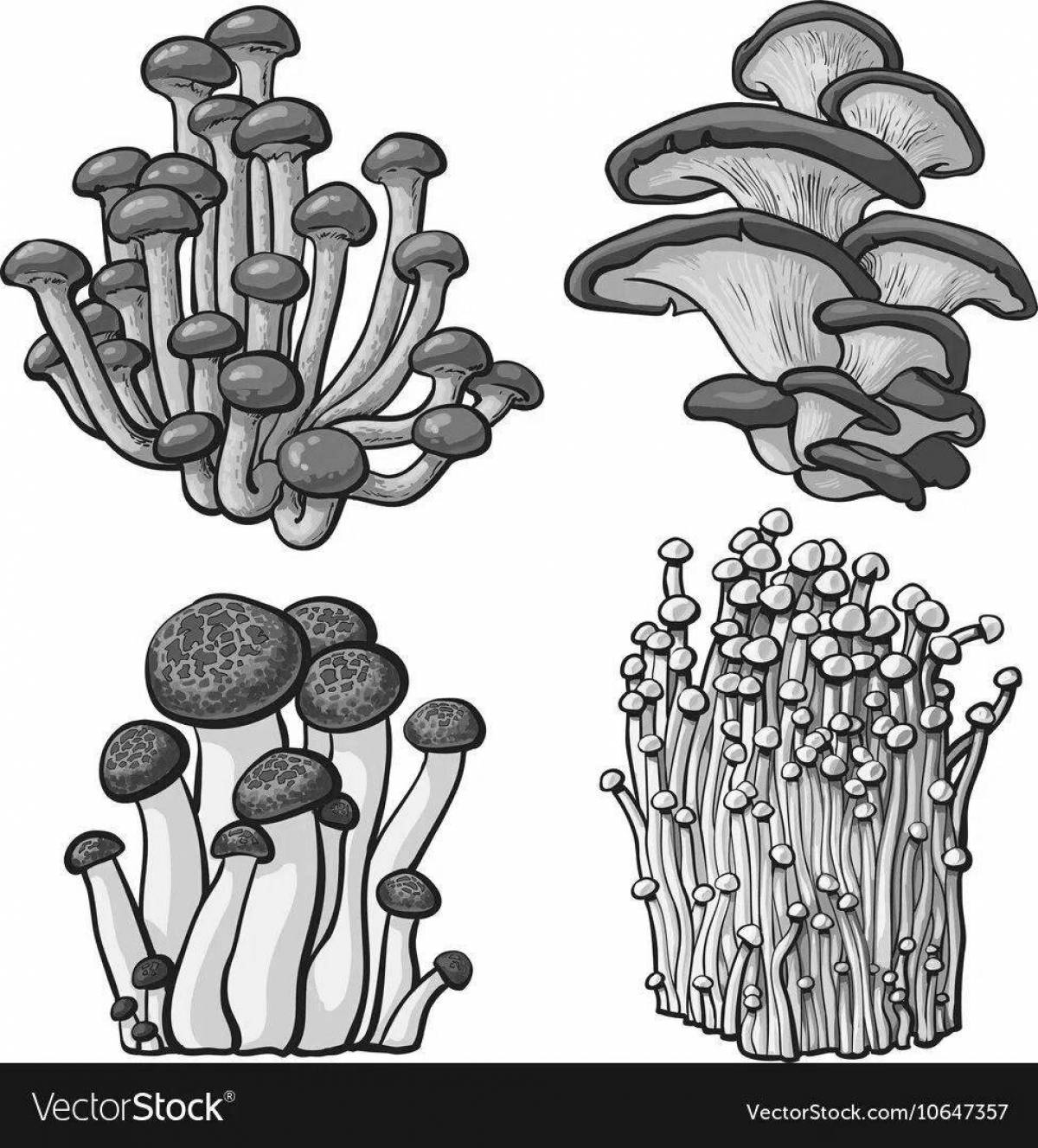 Photo Amazing honey mushroom false coloring page
