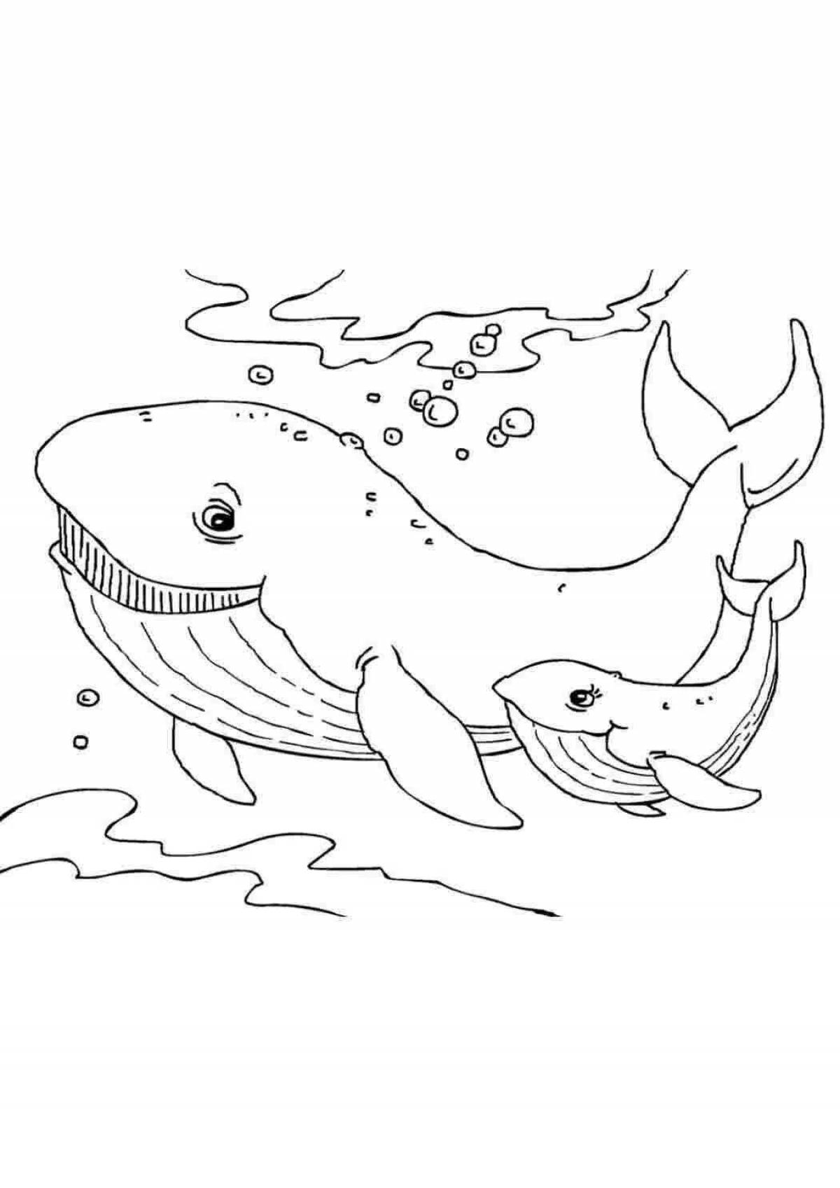 Glitter coloring drawing of a whale