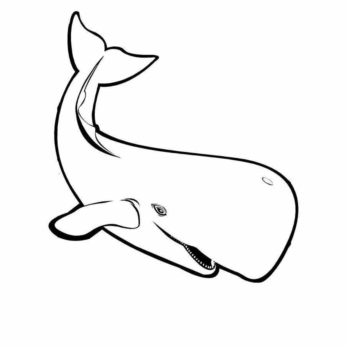 Bright coloring drawing of a whale