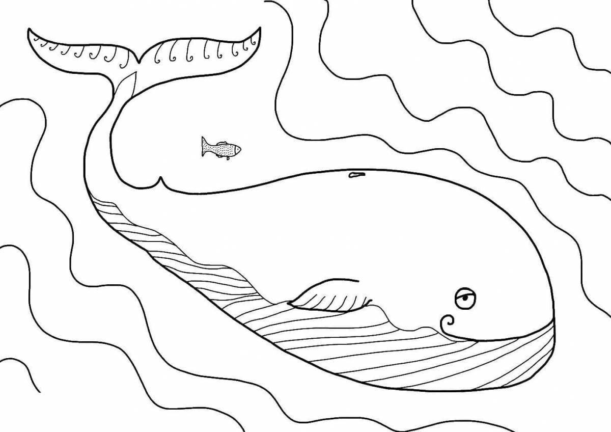 Large coloring drawing of a whale