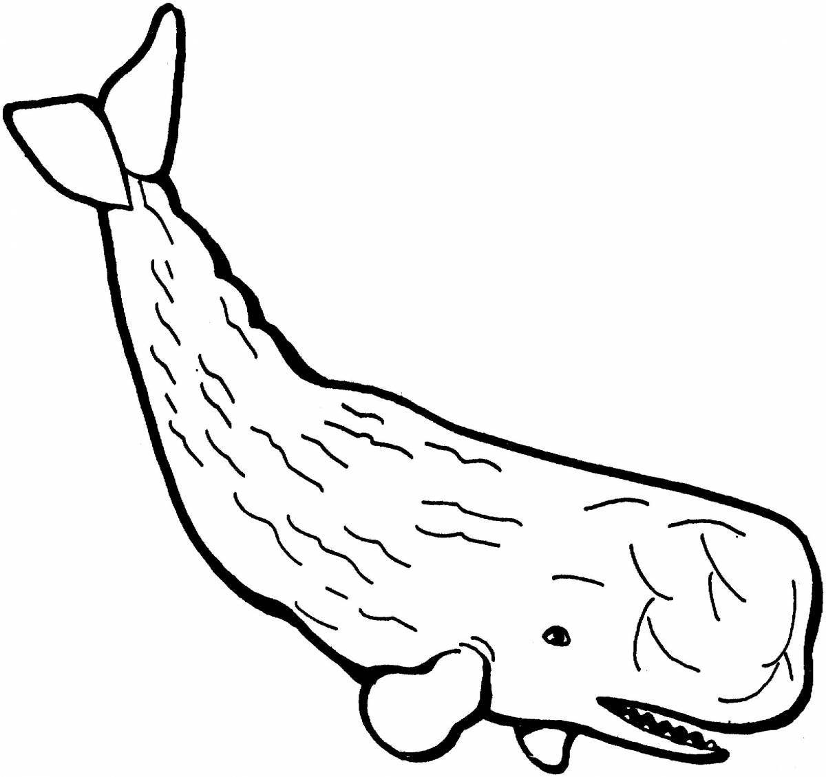 Brilliant coloring page drawing of a whale
