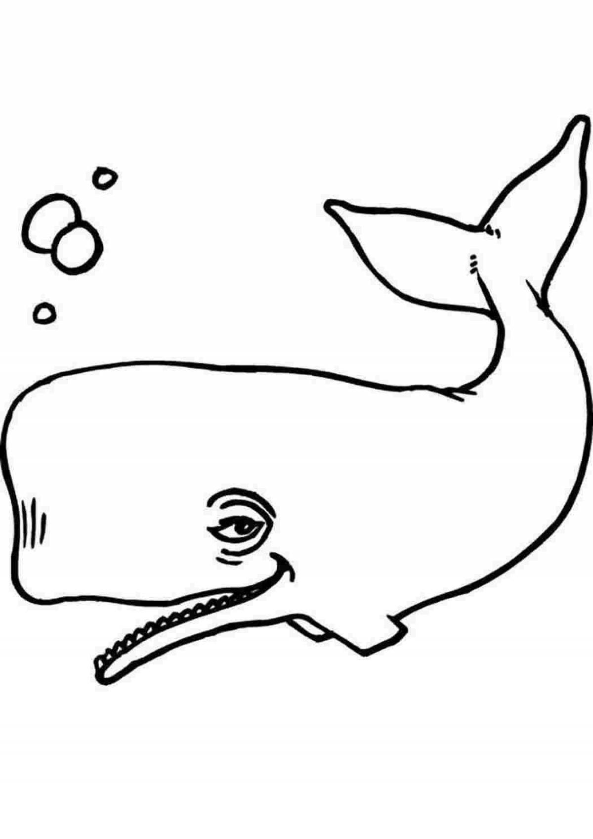 Art coloring drawing of a whale