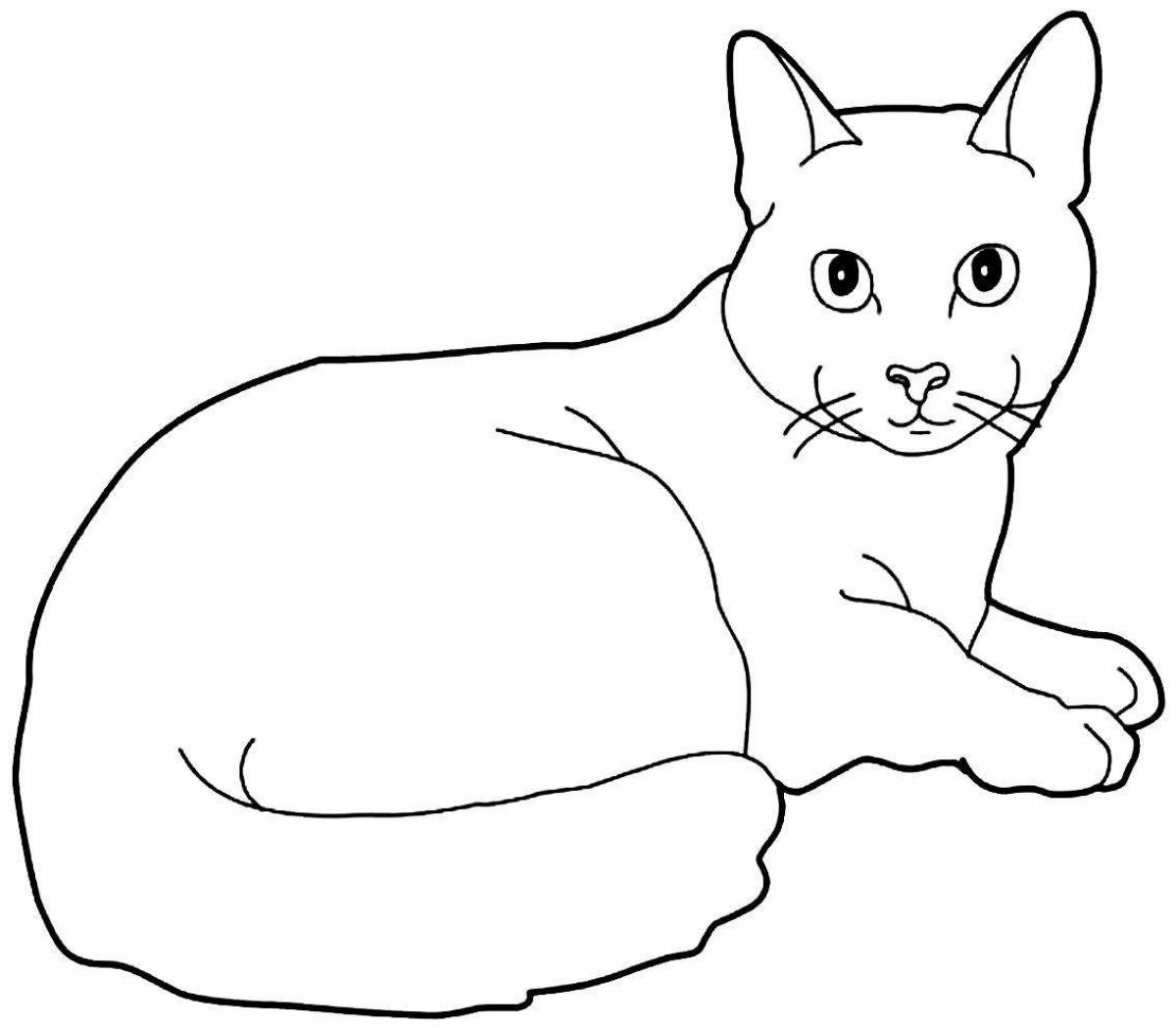 Раскраска озорная сидящая кошка