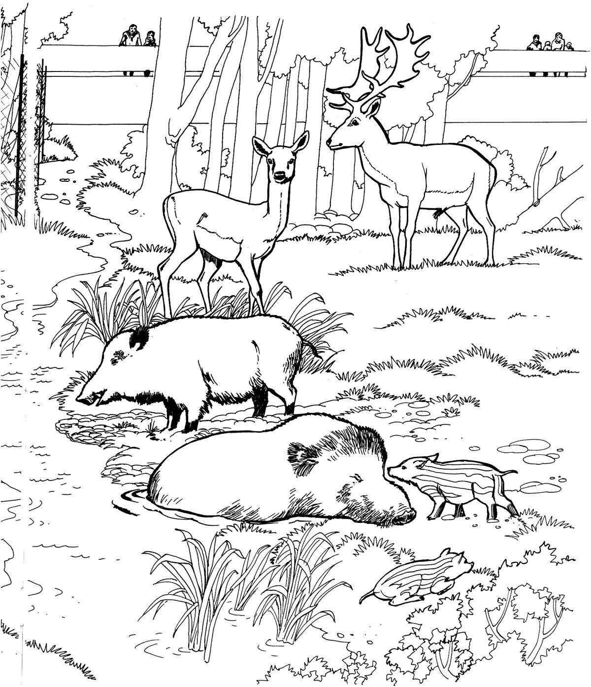 Colorful Russian animal coloring book