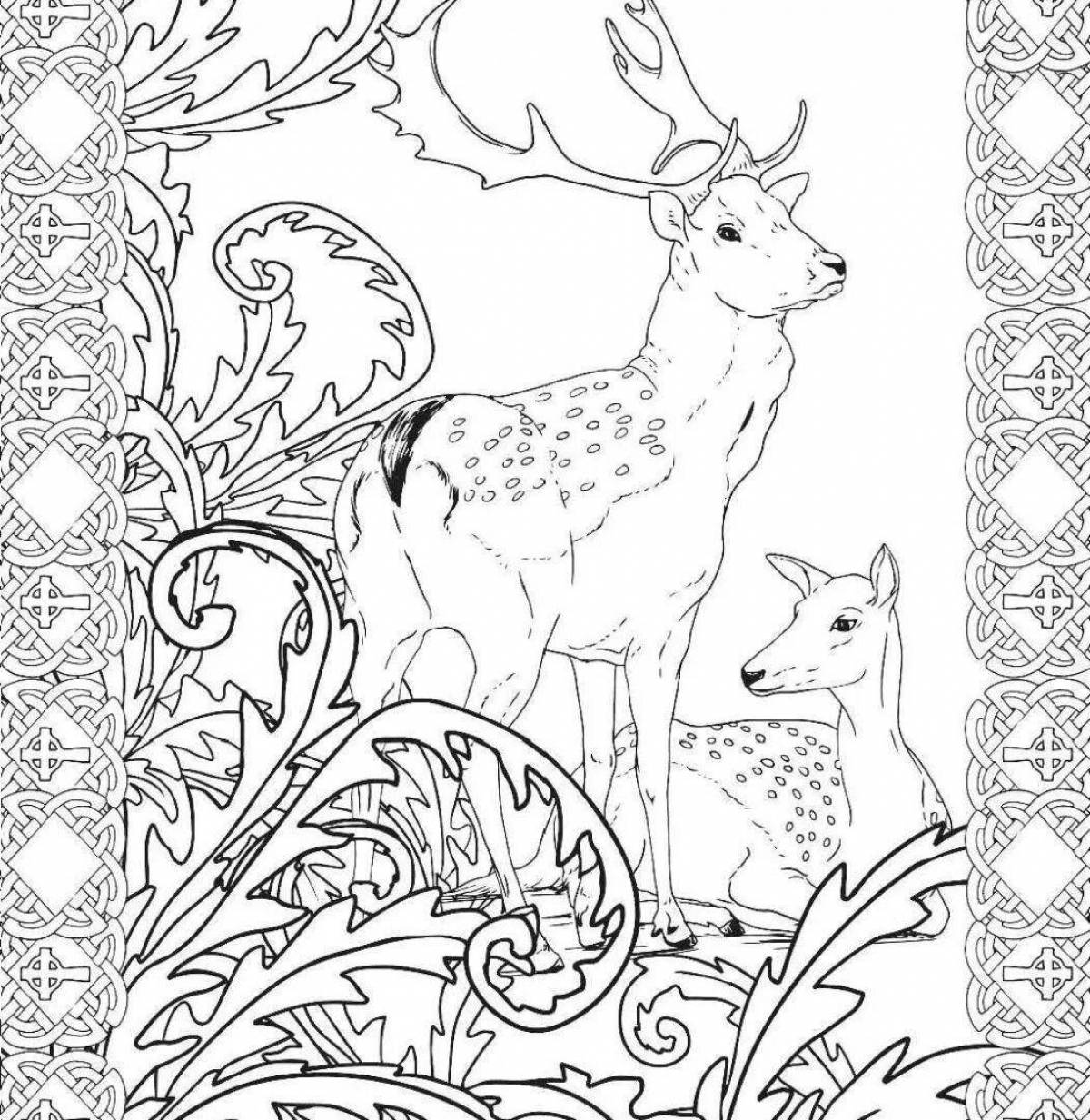 Joyful Russian animal coloring book