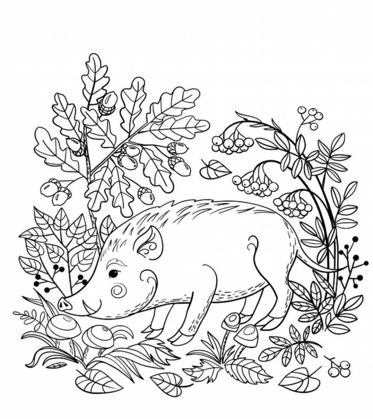 Coloring book exotic russian animals