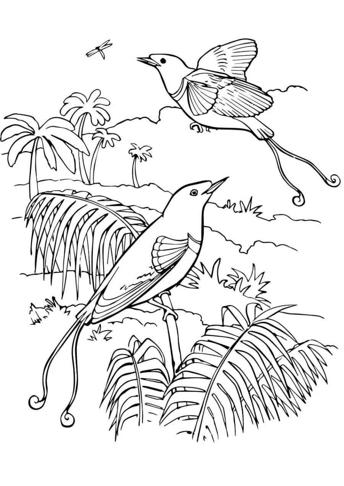 Birds of Paradise glitter coloring book