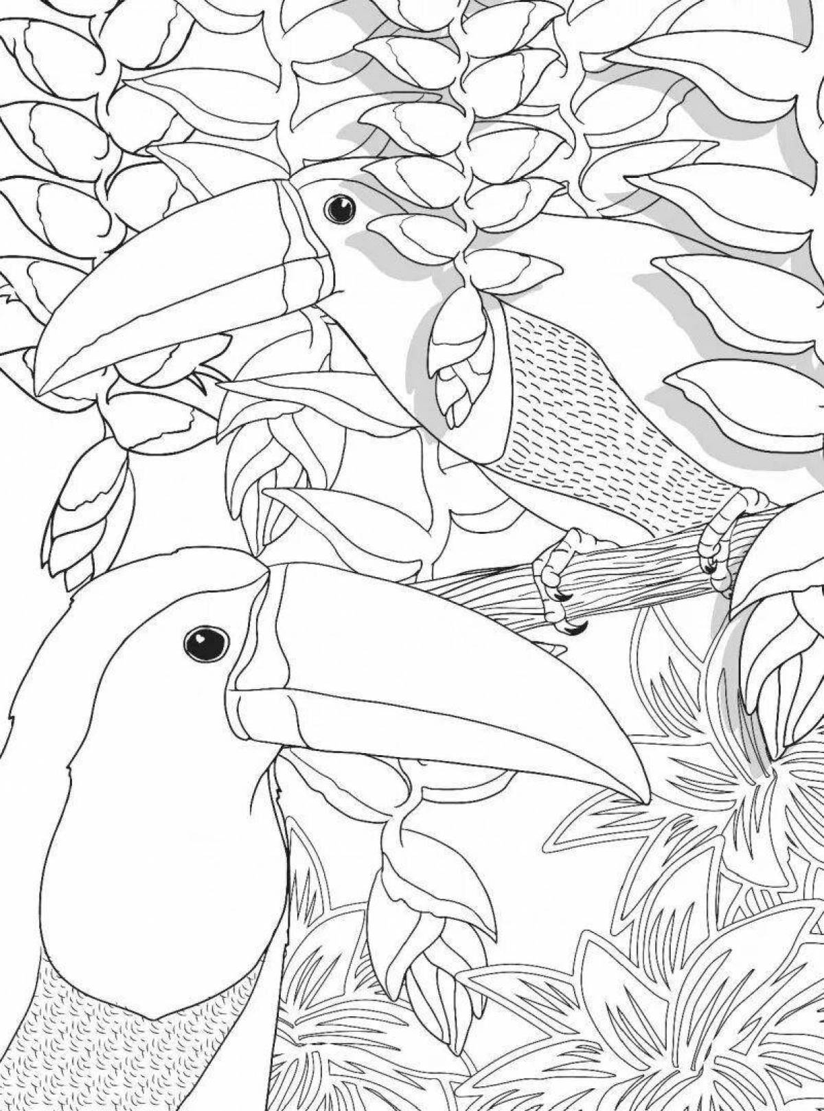 Colorful bird of paradise coloring book