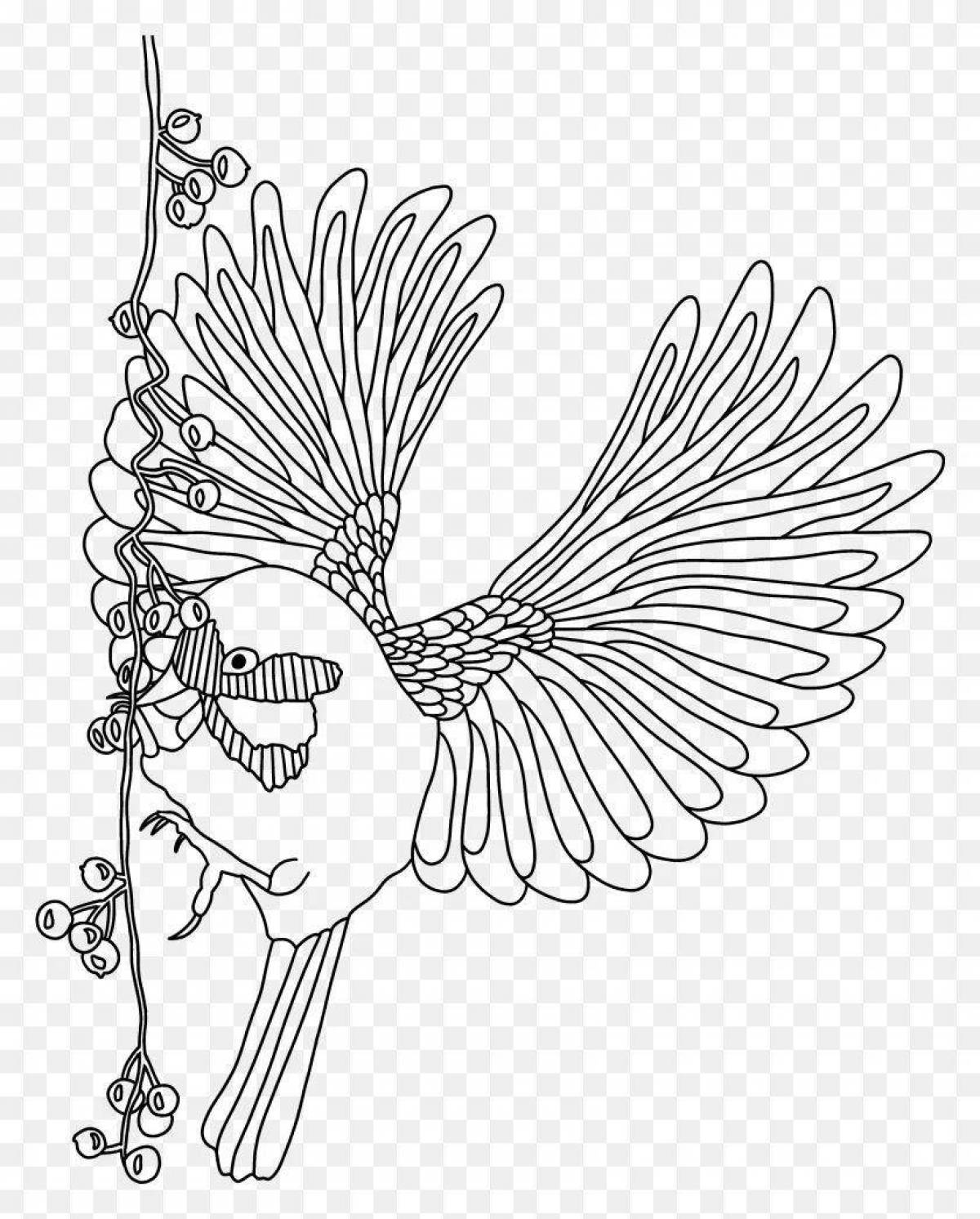 Great bird of paradise coloring page