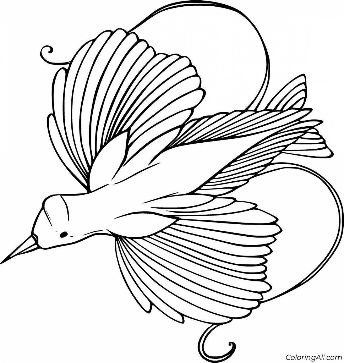 Charming birds of paradise coloring book