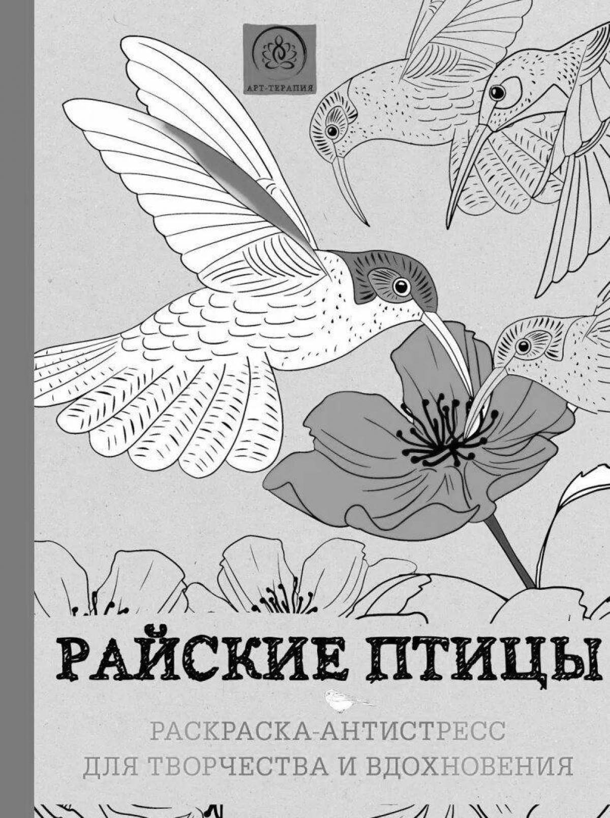 Birds of Paradise glitter coloring pages