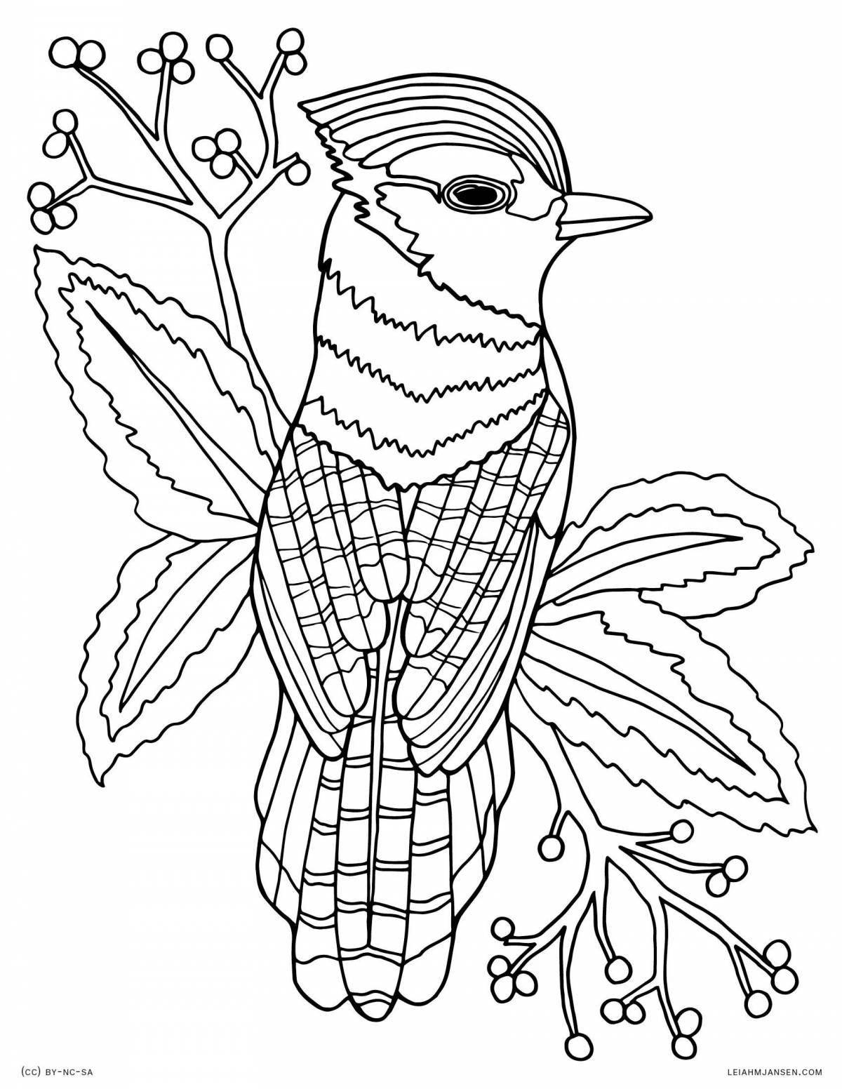 Deluxe bird of paradise coloring book