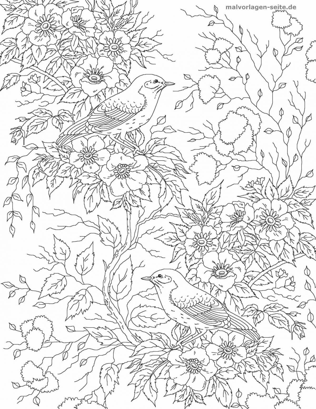 Birds of paradise majestic coloring book