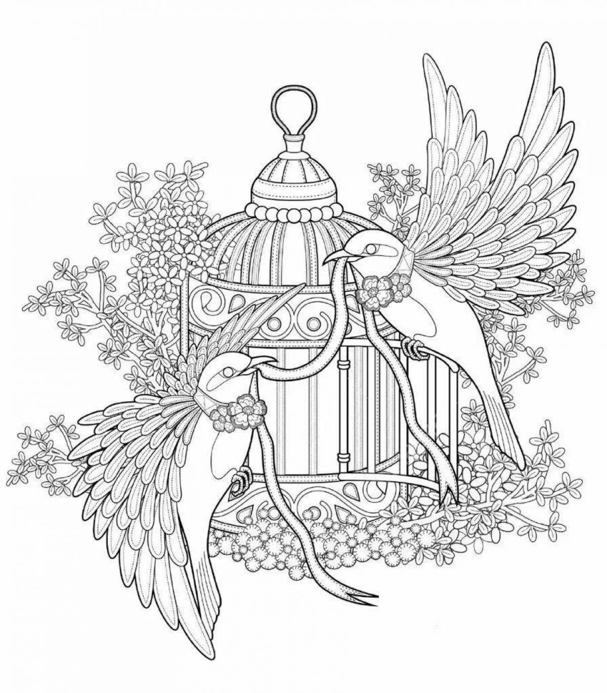 Amazing bird of paradise coloring pages