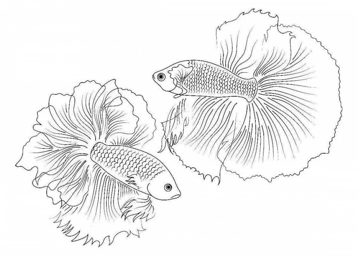 Яркая страница раскраски рыбок гуппи