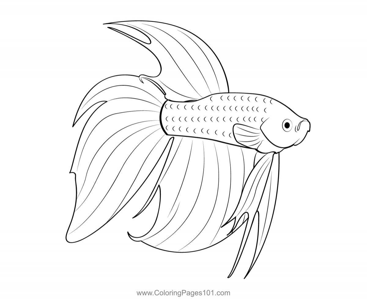 Coloring funny guppy fish