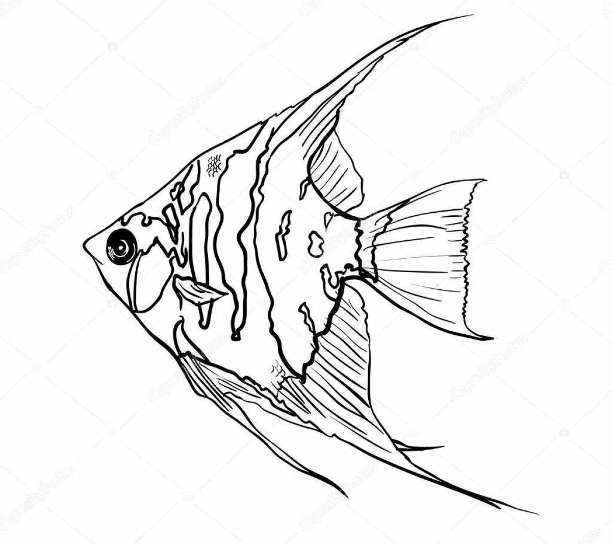 Guppy fish coloring page