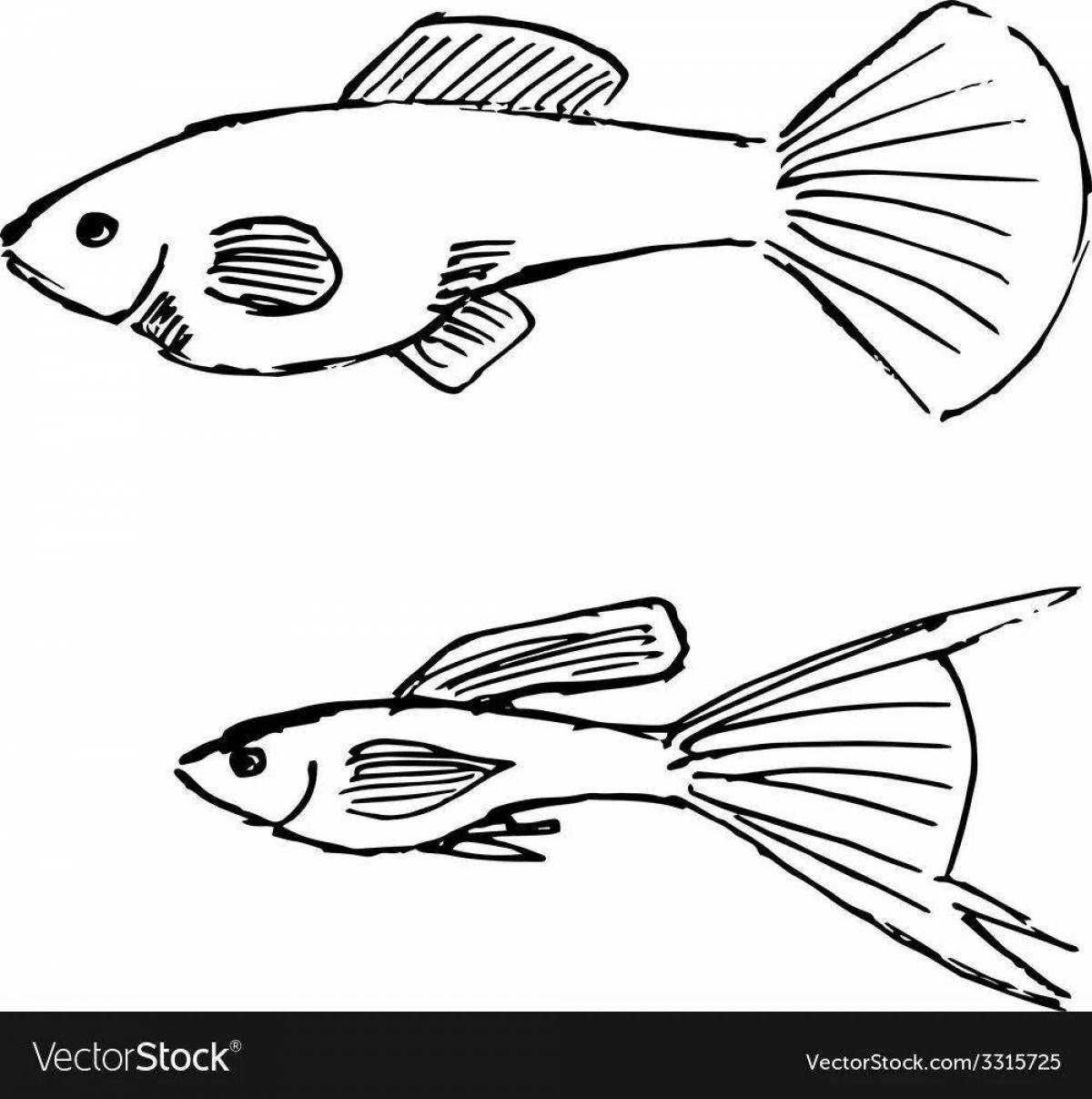 Coloring book exotic guppy fish