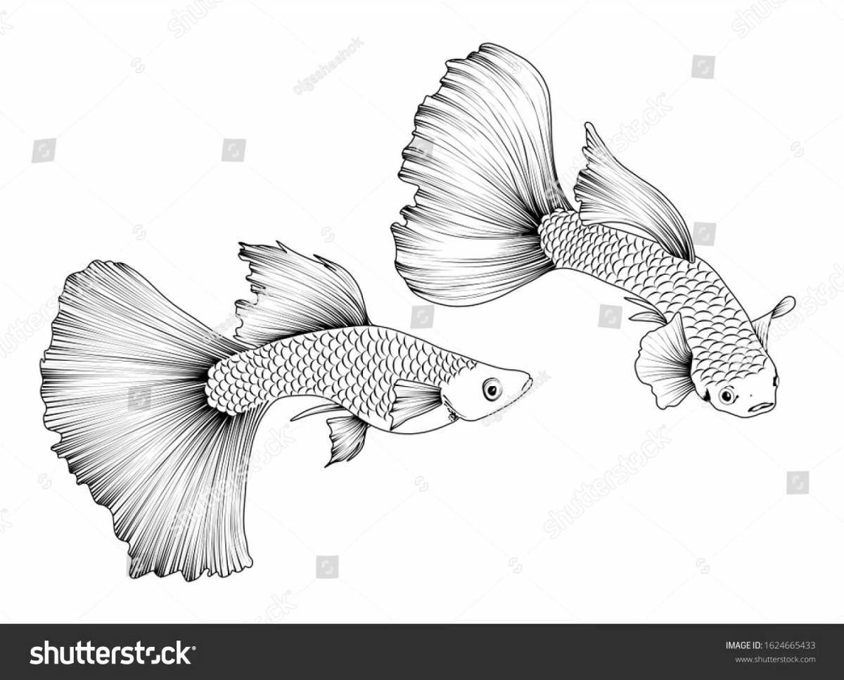 Привлекательная раскраска рыбка гуппи