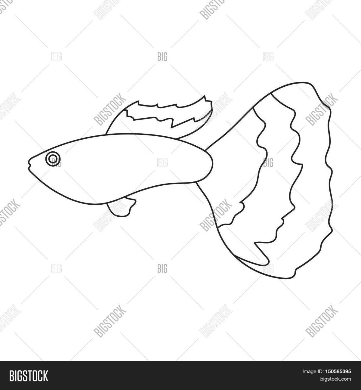 Раскраска очаровательная рыбка гуппи