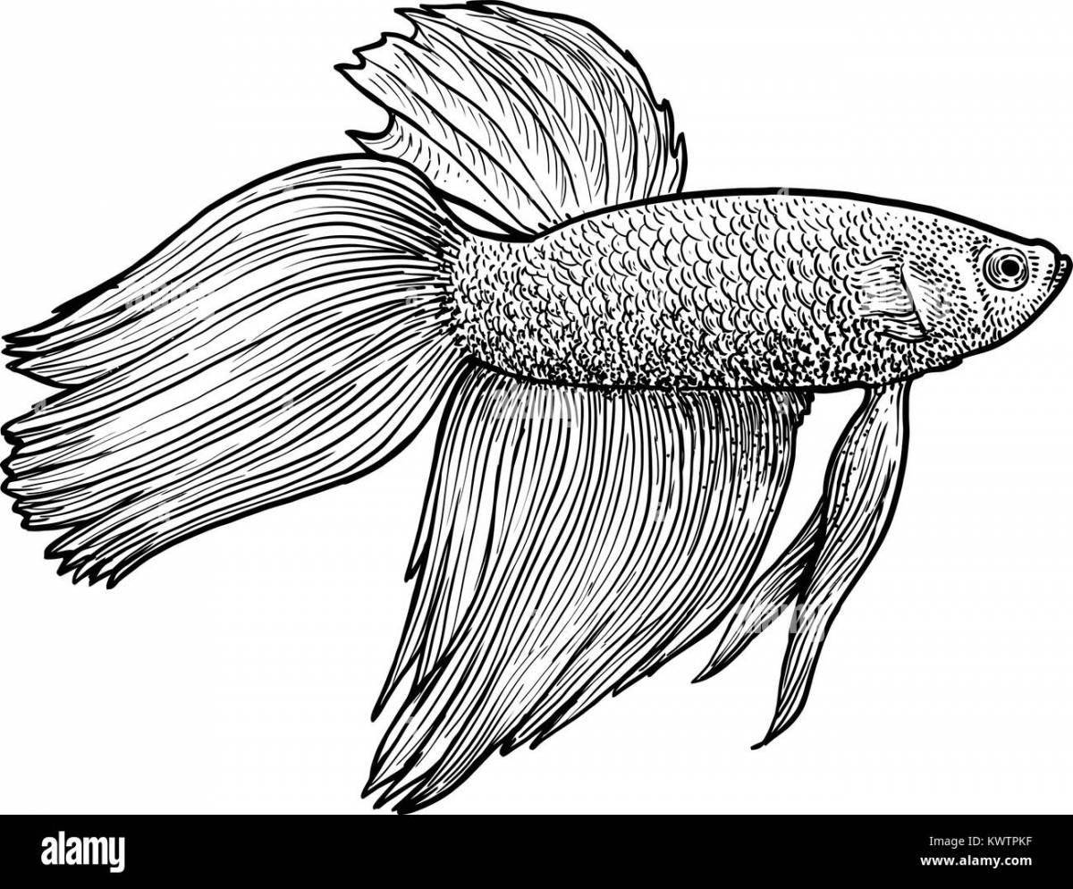 Увлекательная раскраска рыбка гуппи