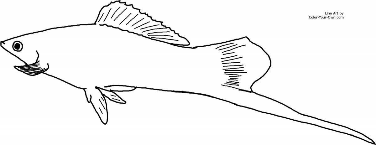 Coloring page adorable guppy fish