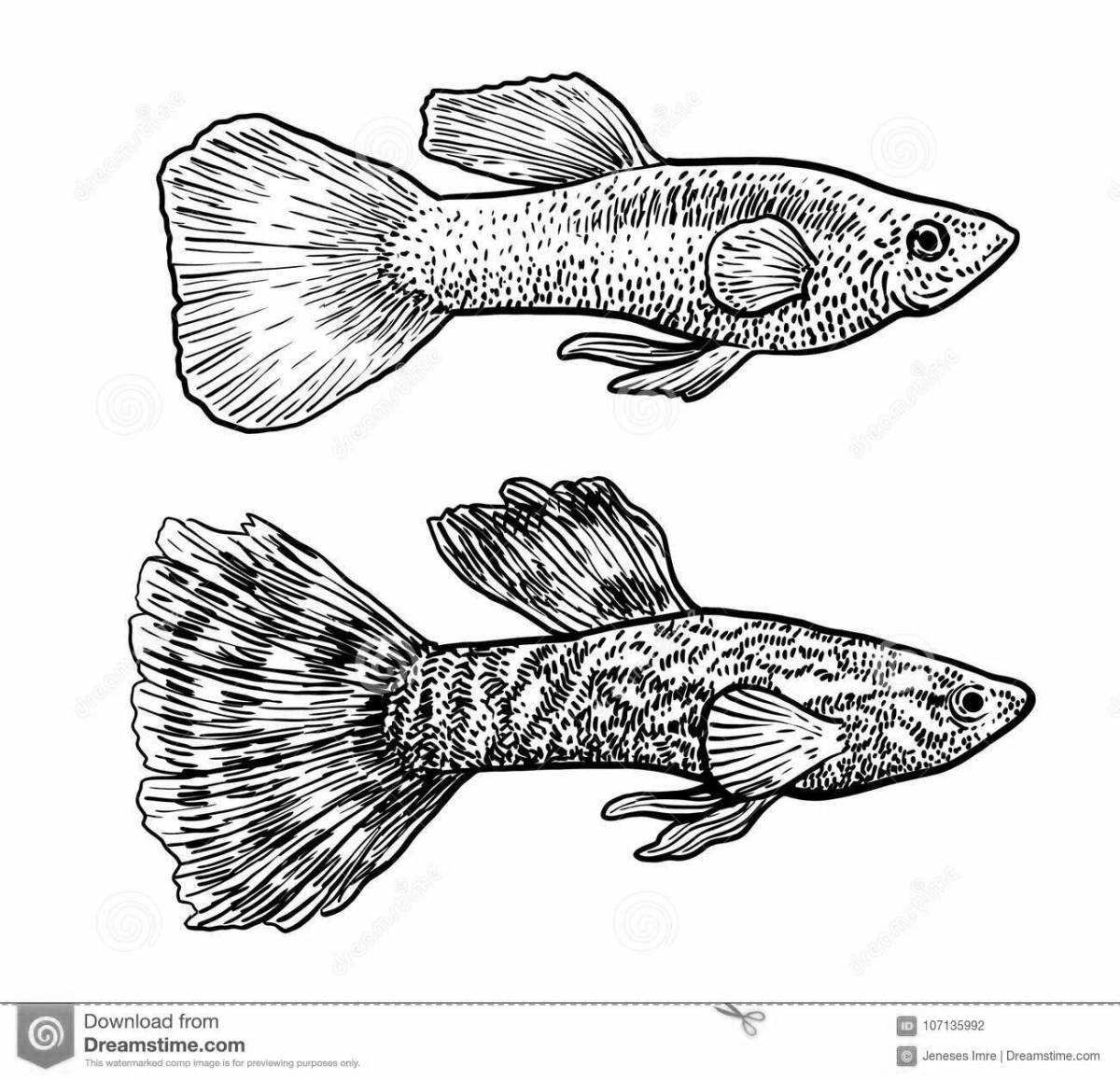 Adorable guppy fish coloring page