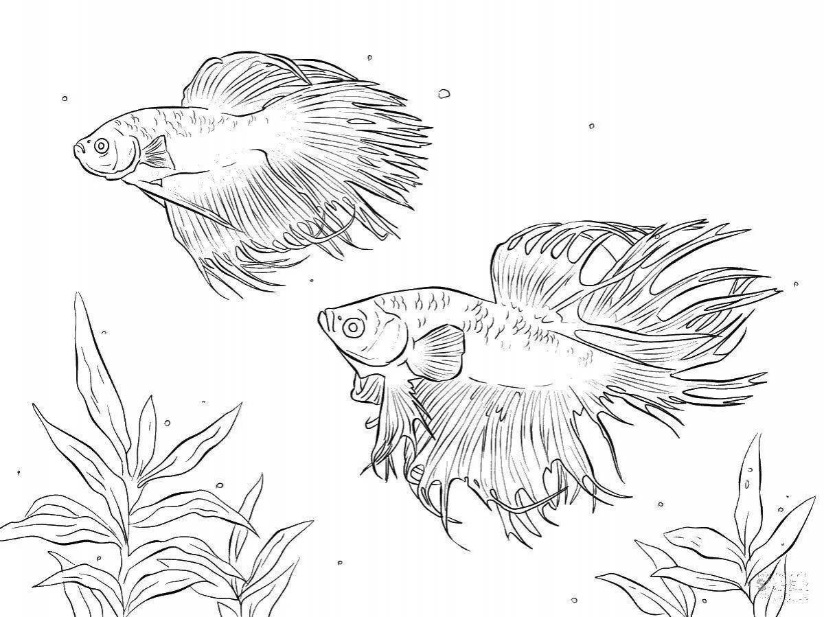 Glorious guppy fish coloring page