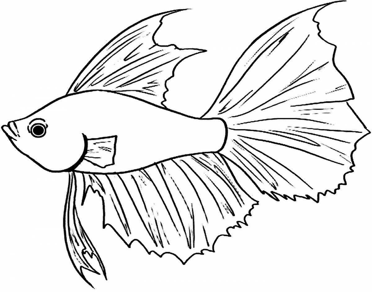 Раскраска сияющая рыбка гуппи
