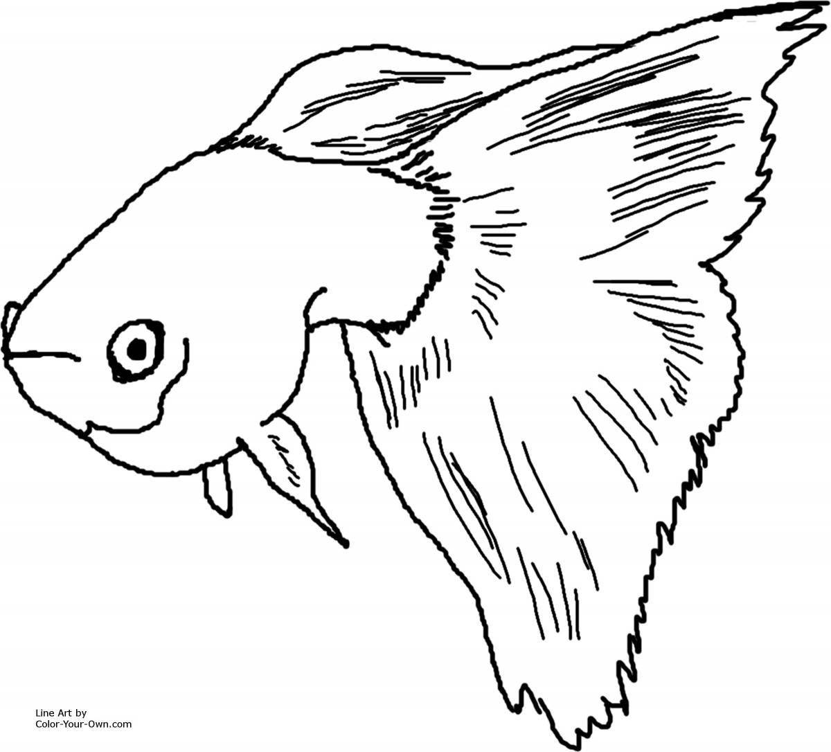 Guppy fish #4