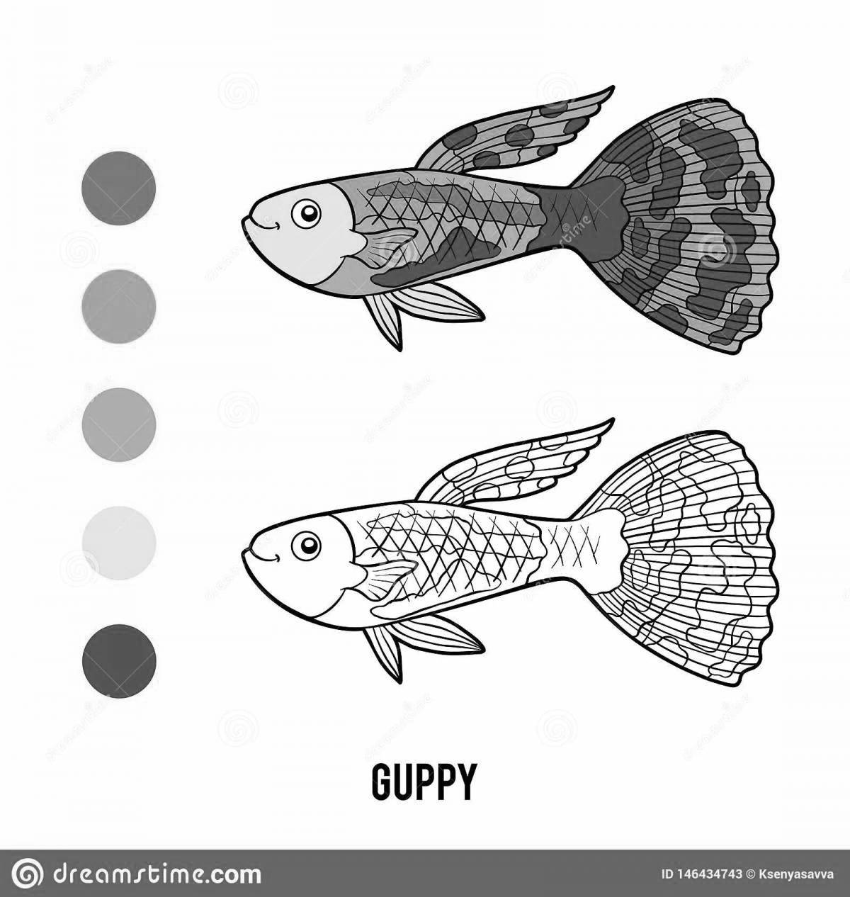 Рыбки гуппи #5