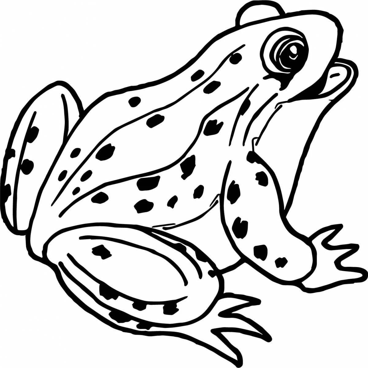 Bright cartoon coloring frog