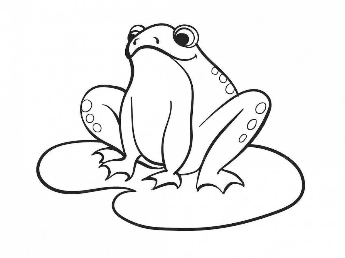 Fun cartoon frog coloring book