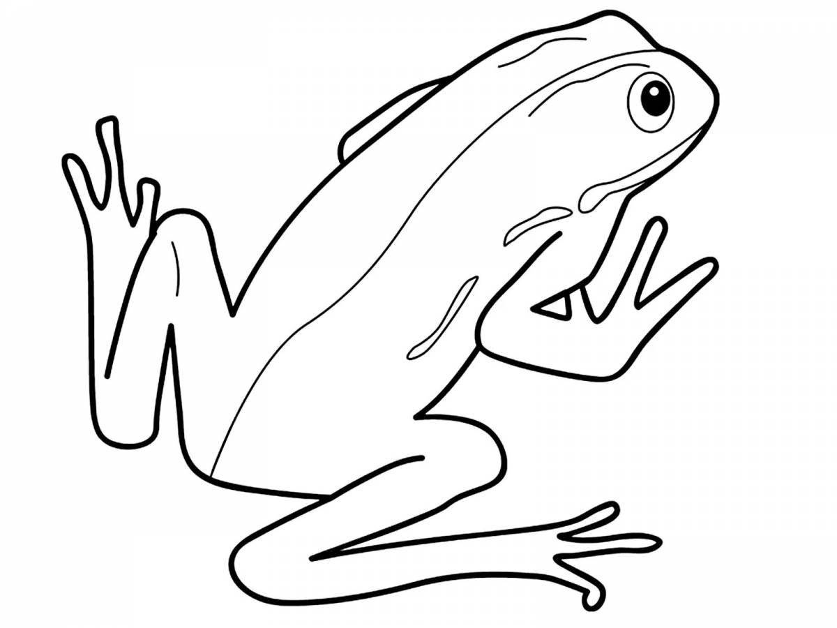 Раскраска zany cartoon frog