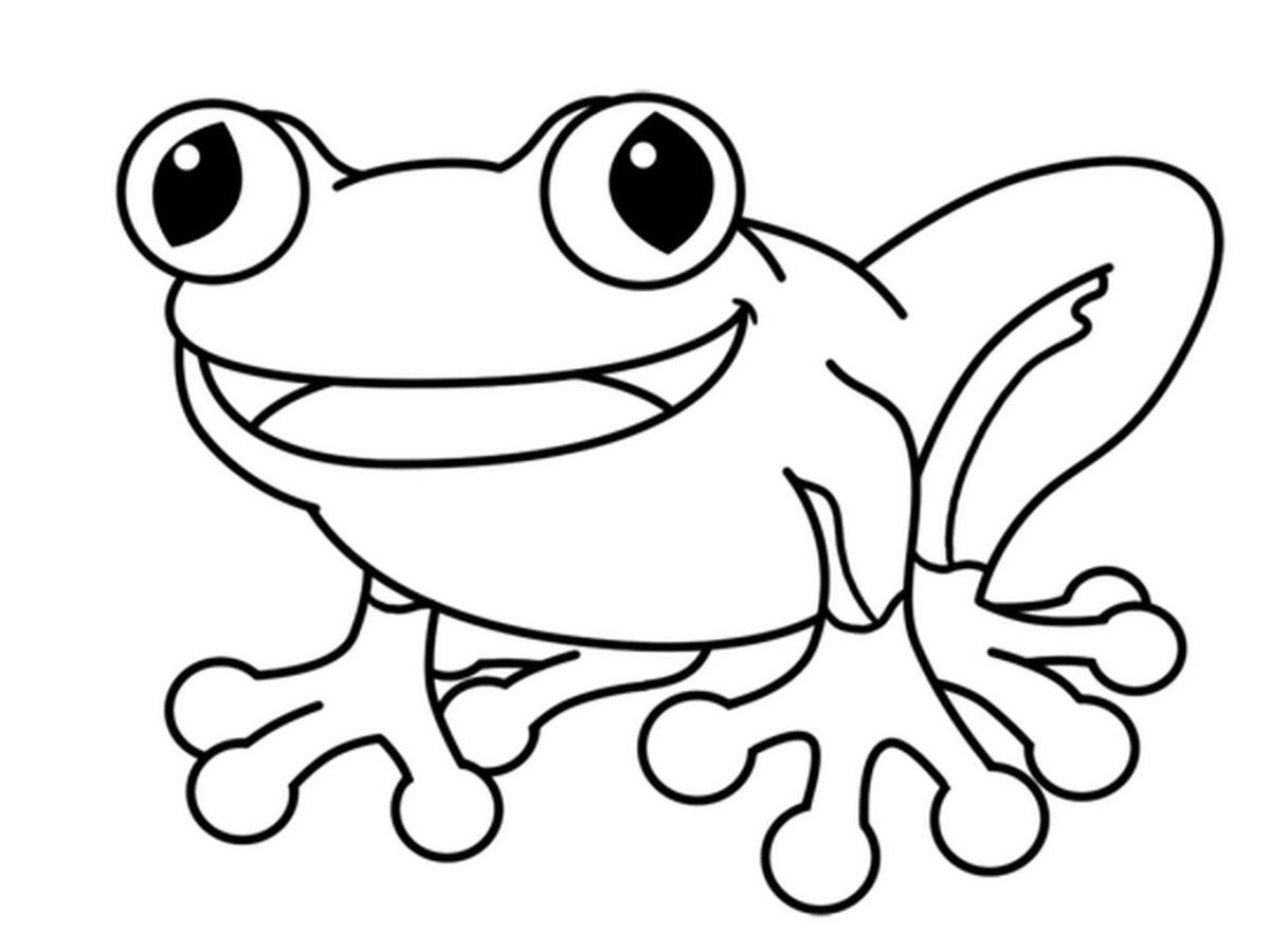 Colorful frog cartoon coloring book