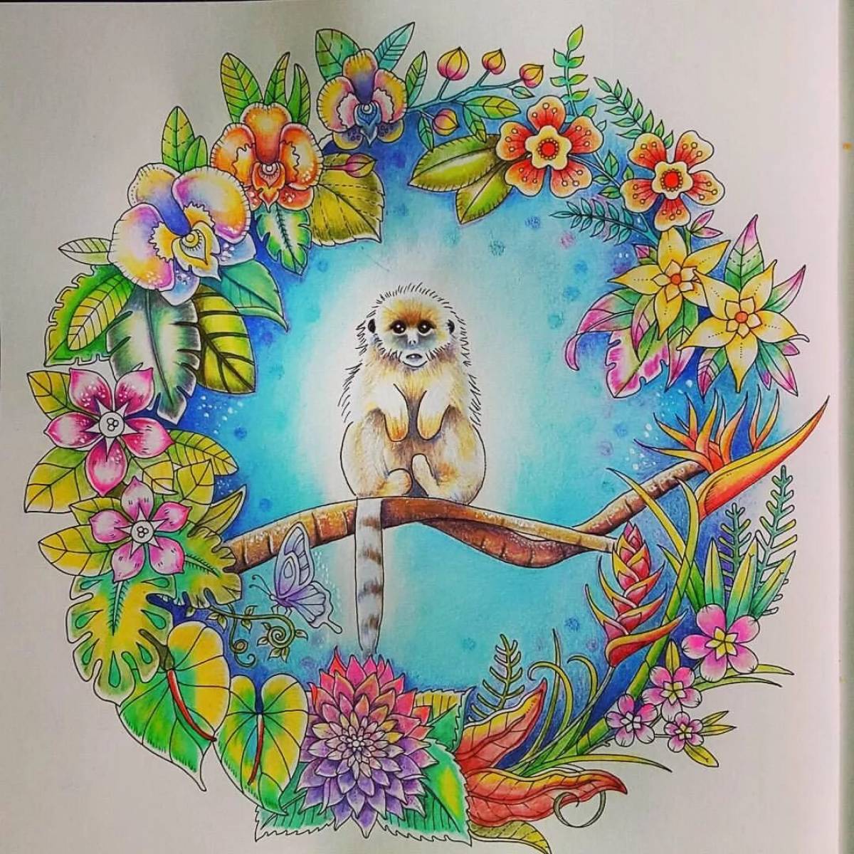 Amazing jungle coloring book - green