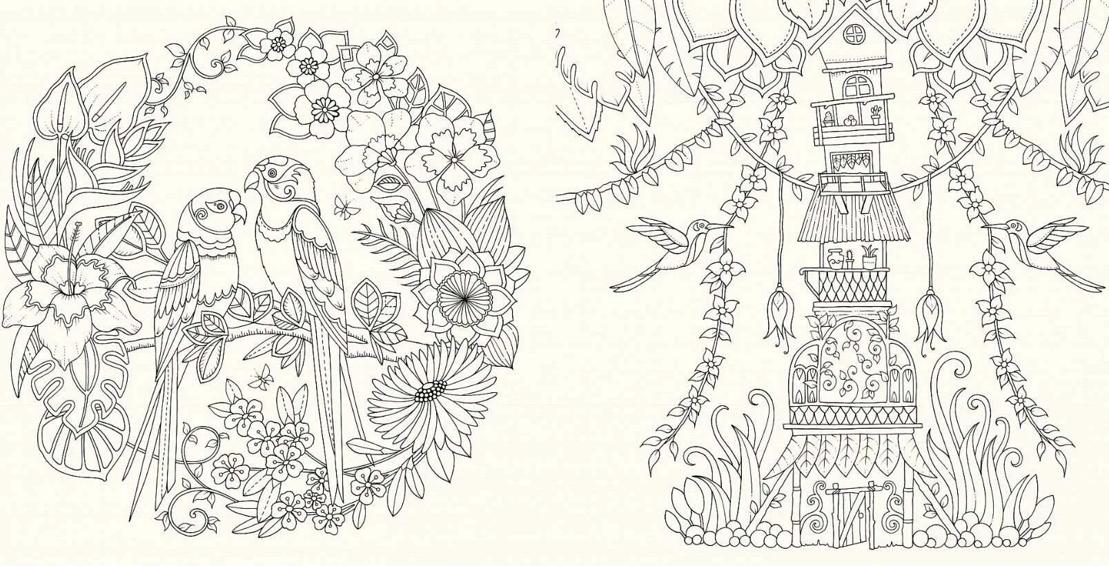 Amazing jungle coloring pages - curvy