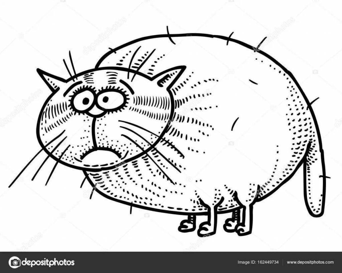 Curious chubby cat coloring page