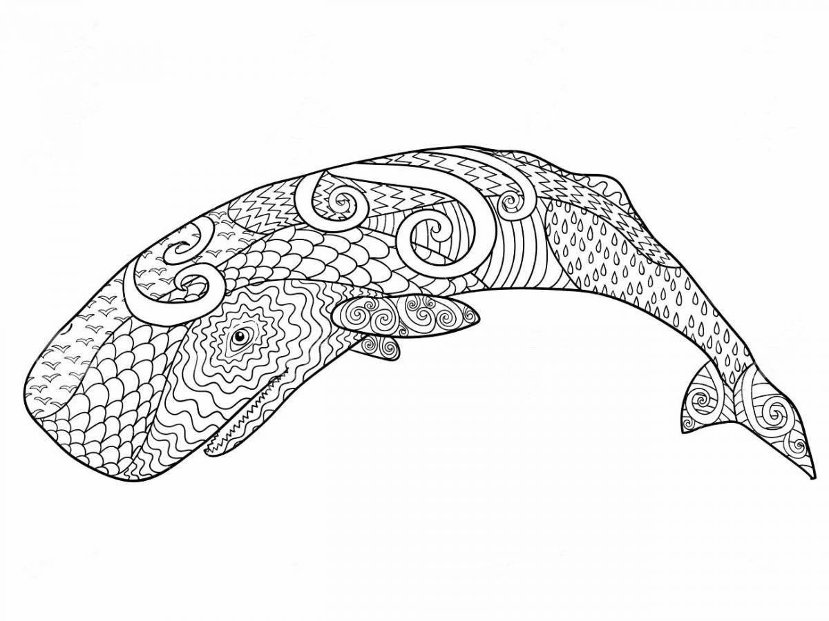 Exquisite anti-stress whale coloring book