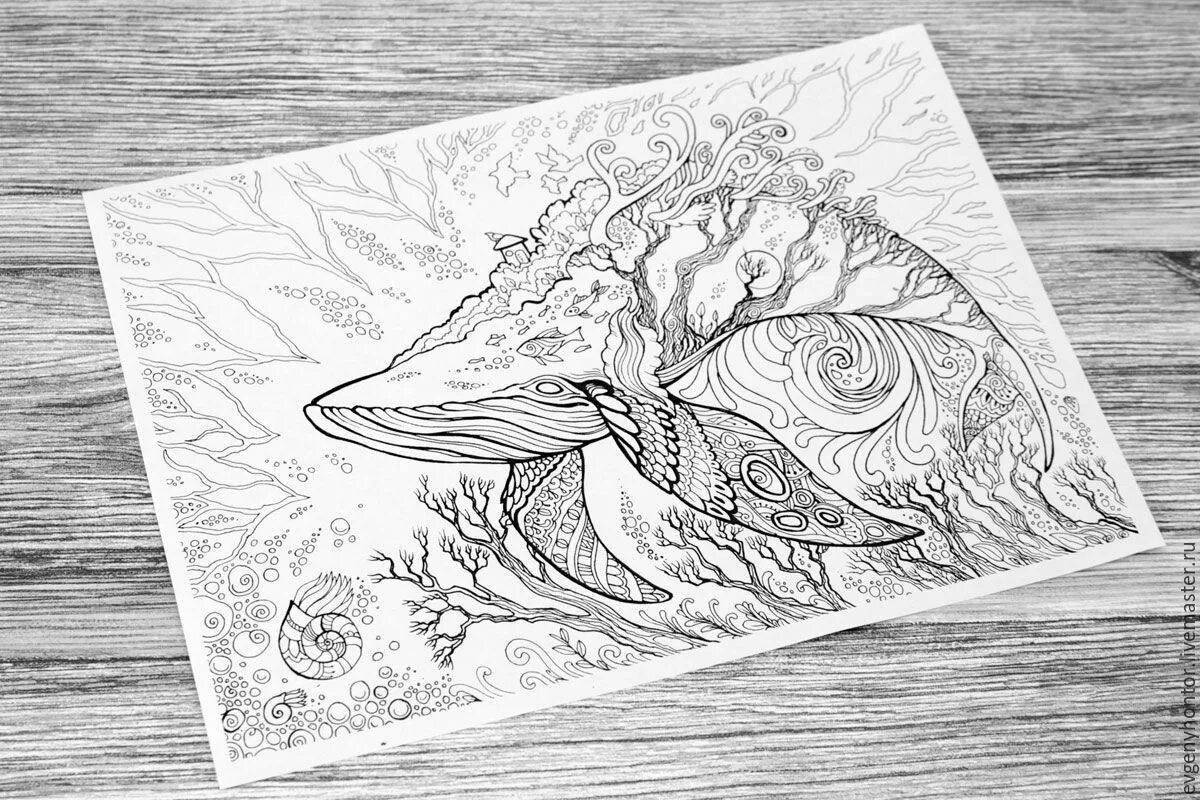 Раскраска Прекрасная раскраска антистрессовый кит