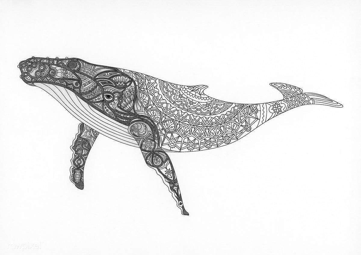 Amazing coloring book anti-stress whale