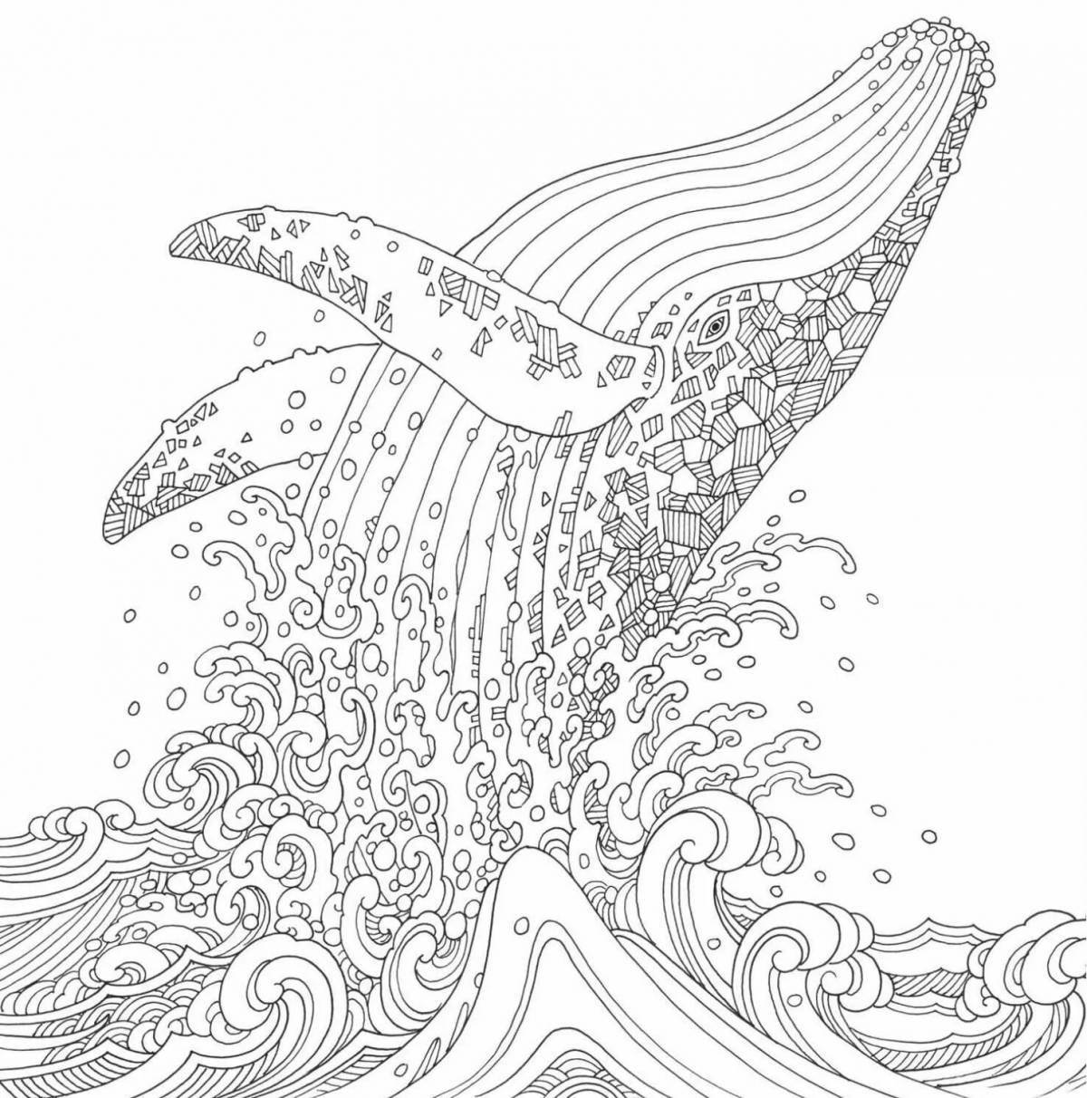 Playful coloring anti-stress whale