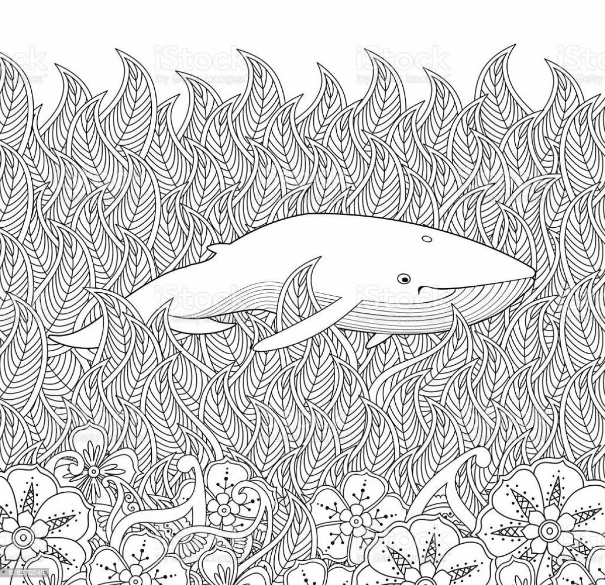 Charming coloring antistress whale