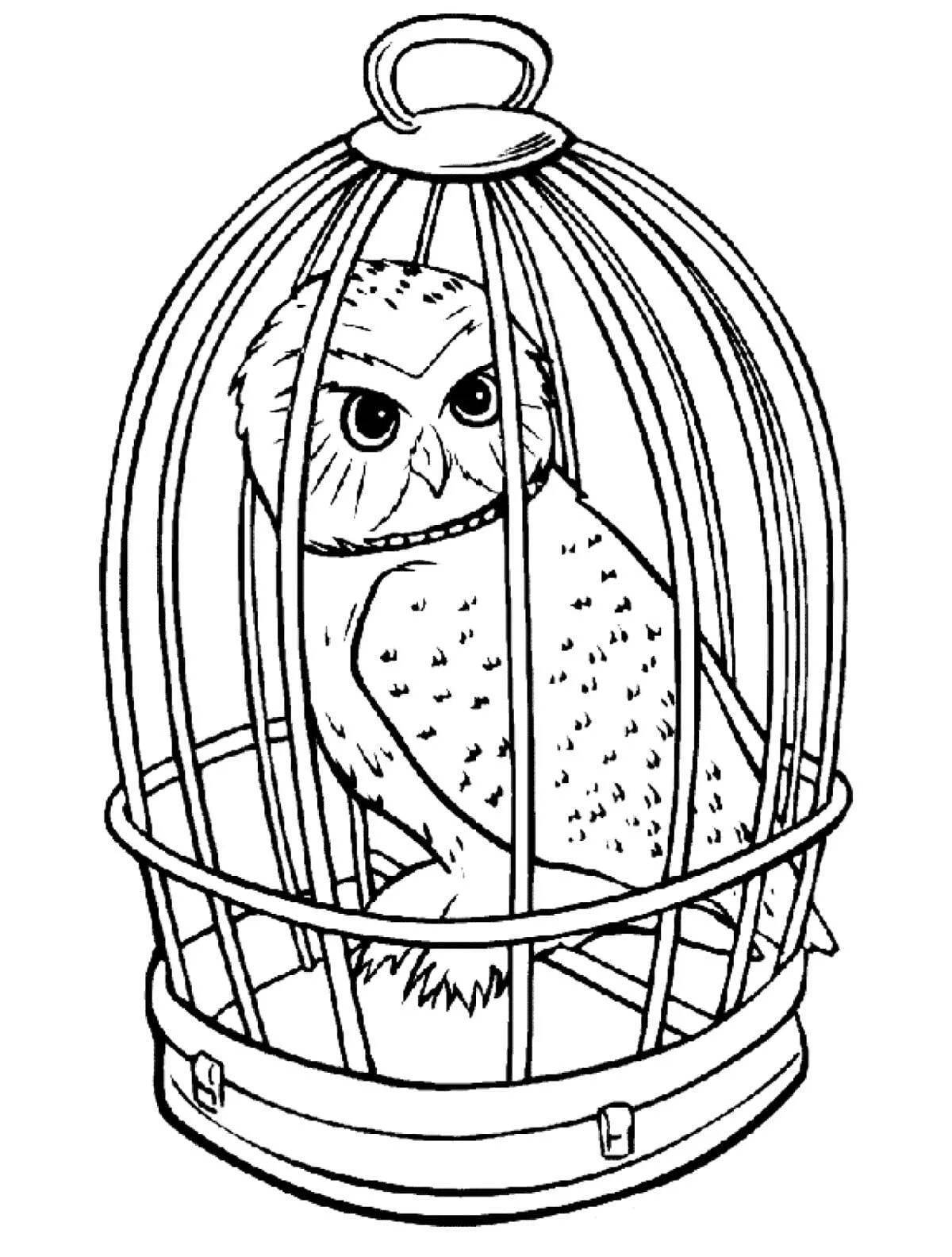 Яркая раскраска hedwig owl