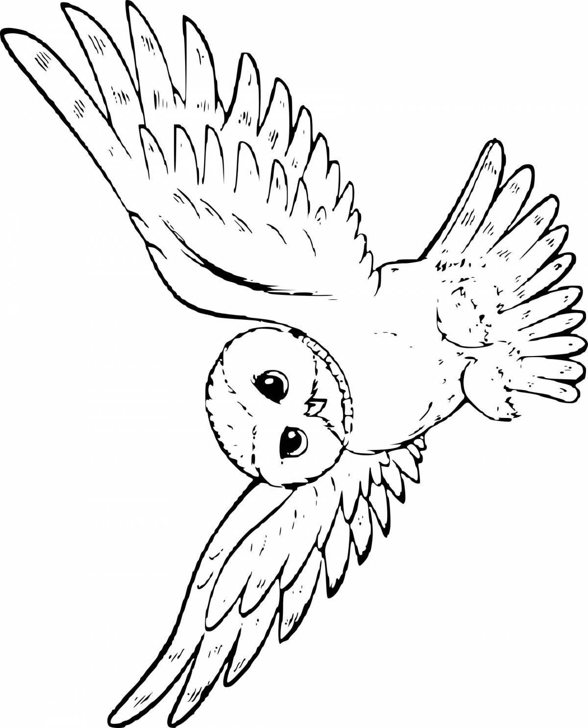 Exquisite hedwig owl coloring book
