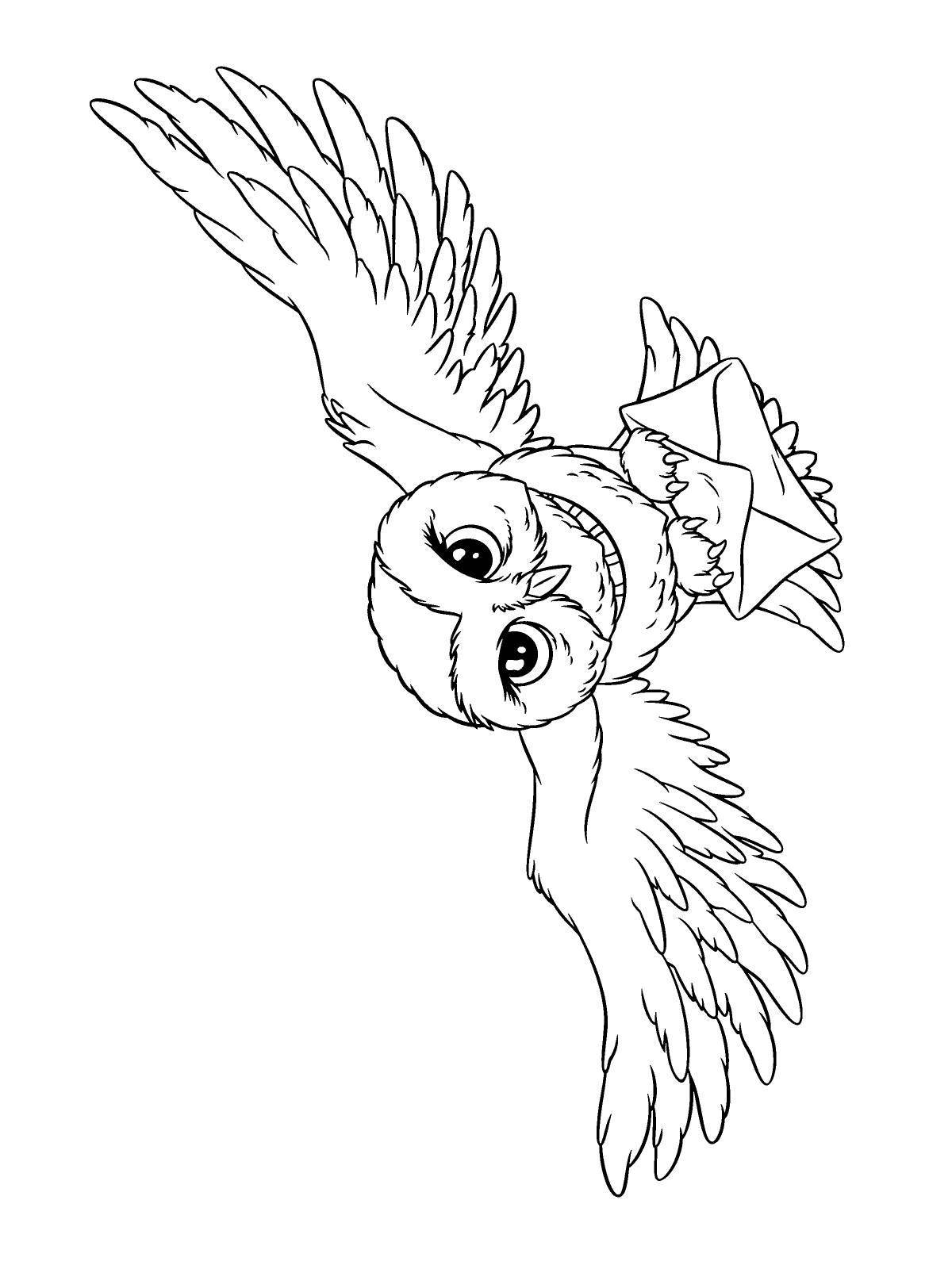 Потрясающая раскраска hedwig owl