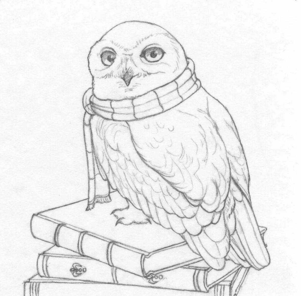 Elegant hedwig owl coloring book
